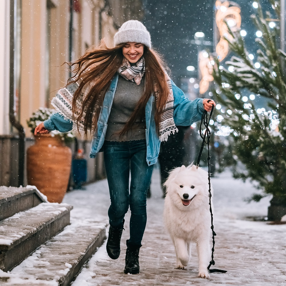 Natuurlijke en ecovriendelijke kerstcadeautjes voor jouw huisdier