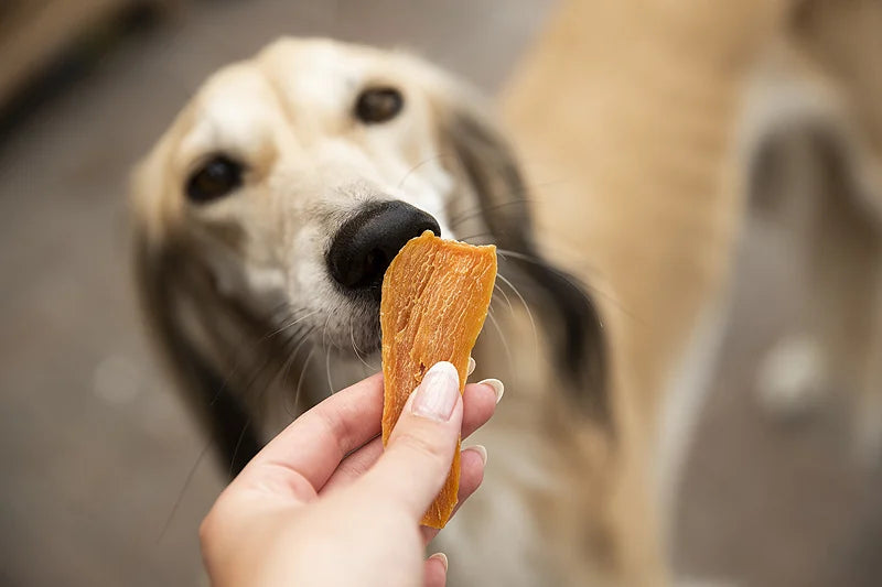 Vegetarische hondensnoepjes