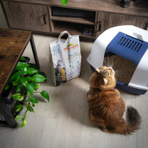 Almo Nature kattenbakvulling Grain Texture | 4kg