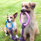 Beco Hoop met Touw / Hoop on a Rope Small