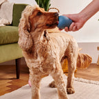 Beco Boredom Buster voerpuzzel voor honden