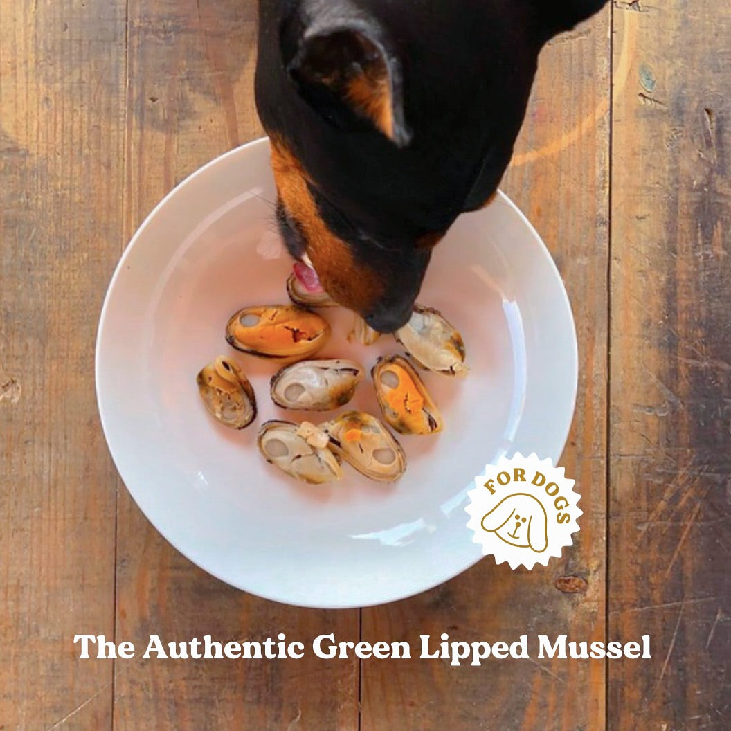 WOOFCAMP - Modder Eten? Ja Hoor, Honden Doen Dat. Maar Waarom Eigenlijk Kijkt Even Niet En D WOOFCAMP - Modder Eten? Ja Hoor, Honden Doen Dat. Maar Waarom Eigenlijk Kijkt Even Niet En D