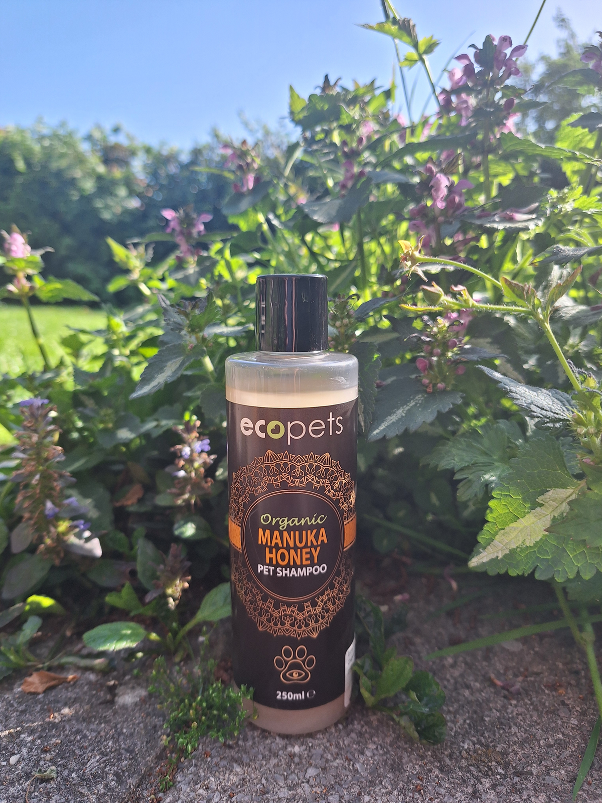 Ecopets hondenshampoo Manuka Honing 250ml * THT DEAL *