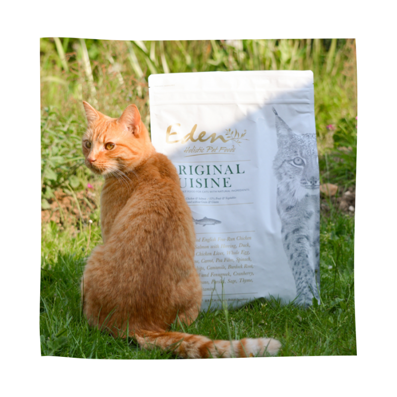 Eden Cat Original Cousine kattenbrok ~ pre-order ~