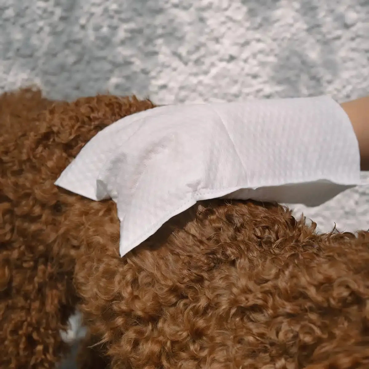 Lila Loves It Lavettes | Wegwerpbare washandjes