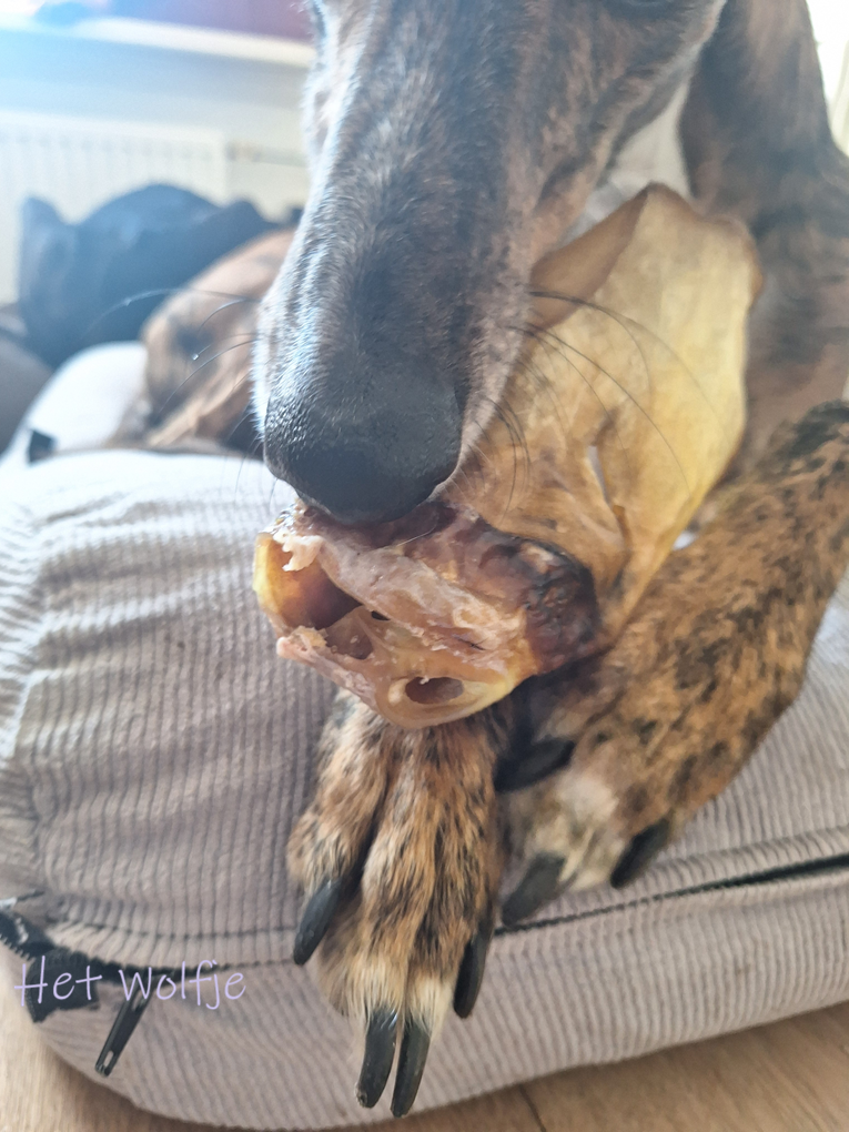 Runderoren gedroogd | 5 stuks