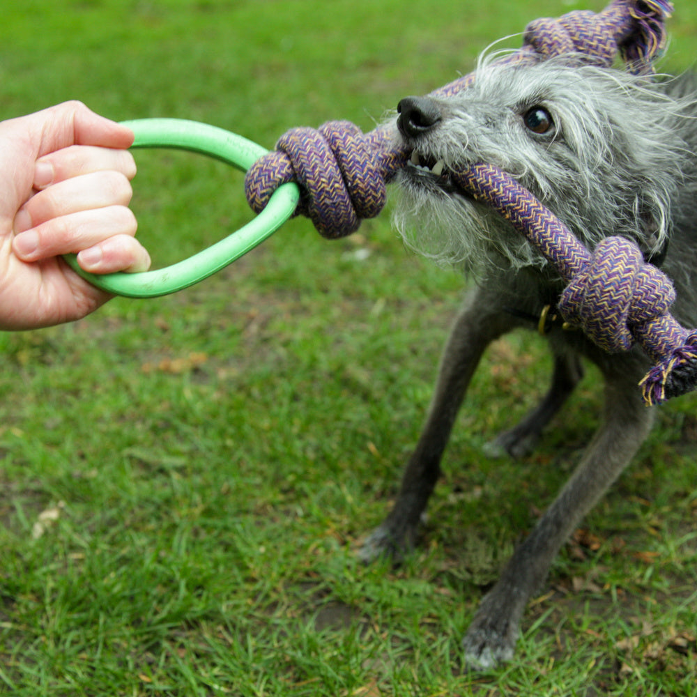 Beco Hoop met Touw / Hoop on a Rope Small