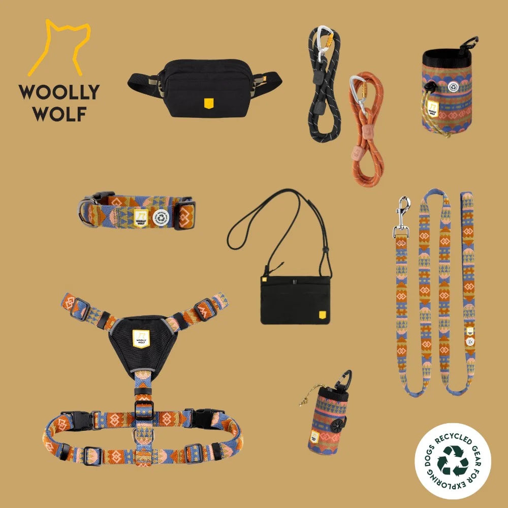 Woolly Wolf Nightless Night Collar hondenhalsband met kliksluiting