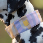 Woolly Wolf Sunshower Soft Martingale Collar halsband hond