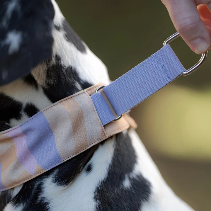 Woolly Wolf Sunshower Soft Martingale Collar halsband hond