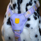 Woolly Wolf Sunshower Harness hondentuig