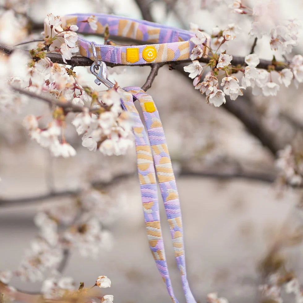 Woolly Wolf Sunshower Leash hondenriem