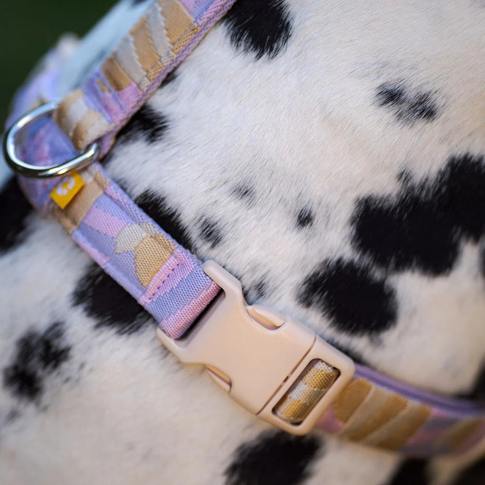 Woolly Wolf Sunshower Harness hondentuig