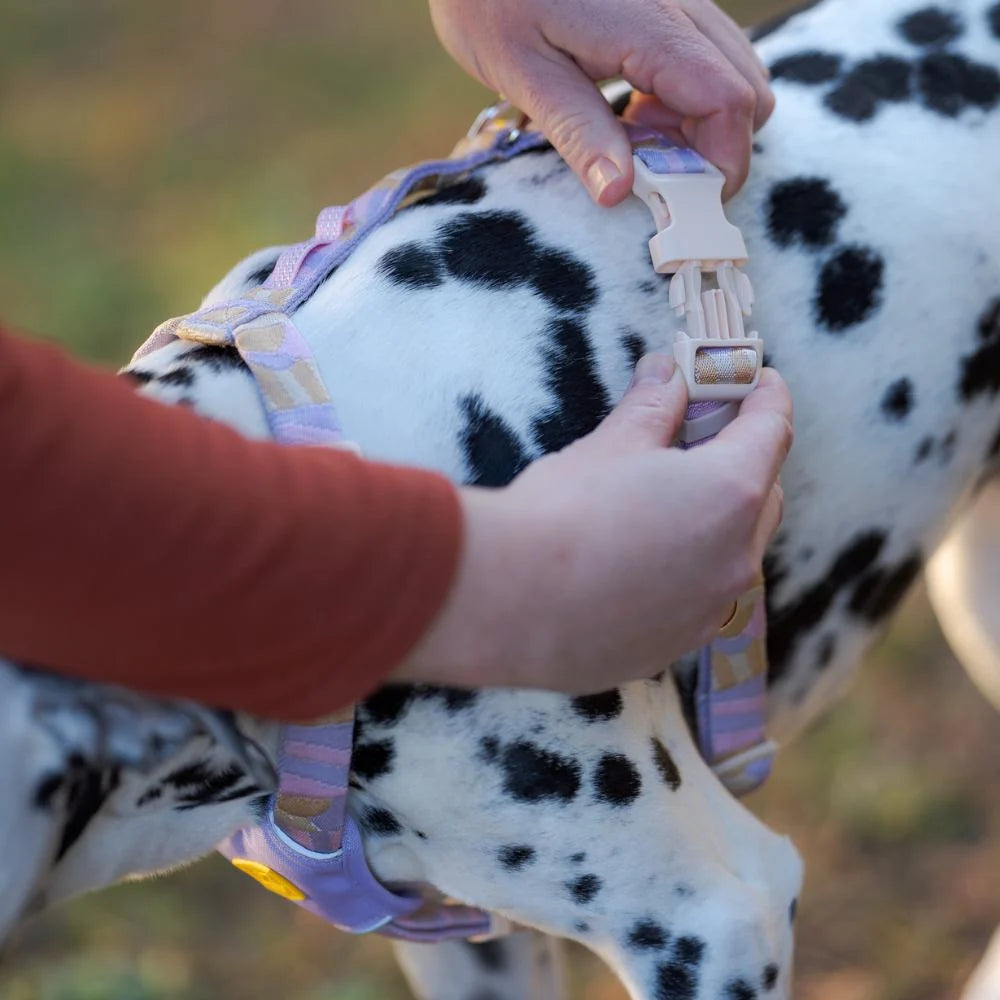 Woolly Wolf Sunshower Harness hondentuig